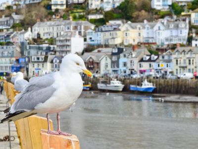 holiday_cottage_2-400×301